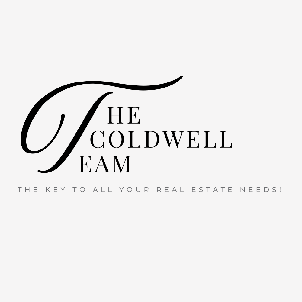 New Team Office Logo